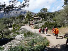 340 Wanderwoche Mallorca.JPG
