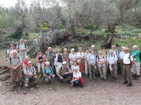 381 Wanderwoche Mallorca.JPG